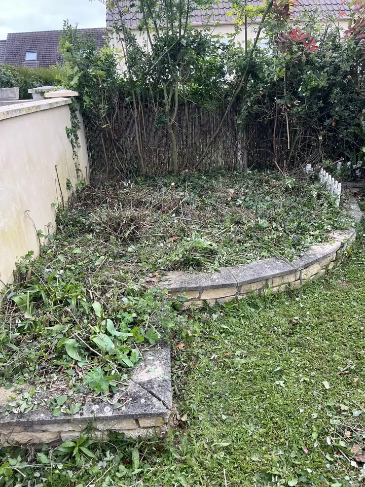 Massif débroussaillé avec muret en pierre à Caen
