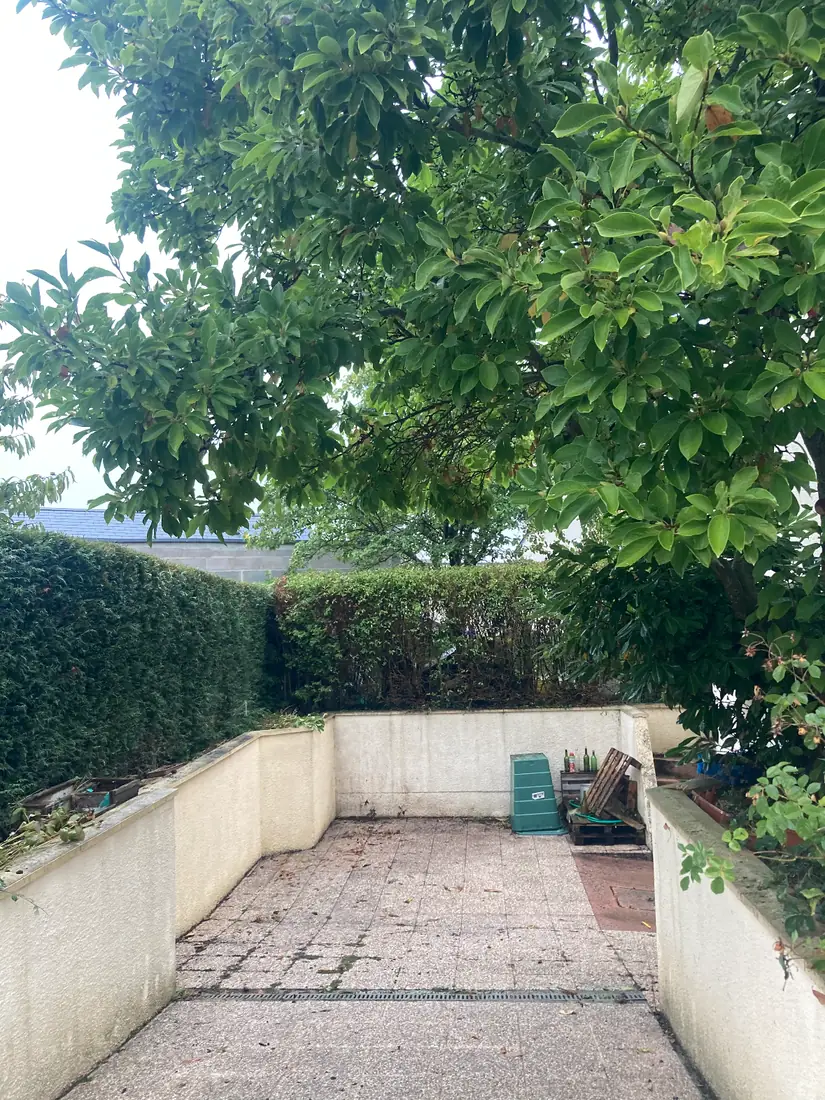 Élagage d'un magnolia au-dessus d'une terrasse à Caen