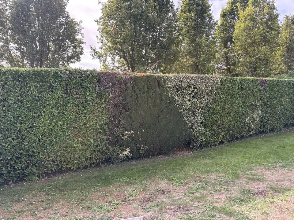 Jardinier à Caen