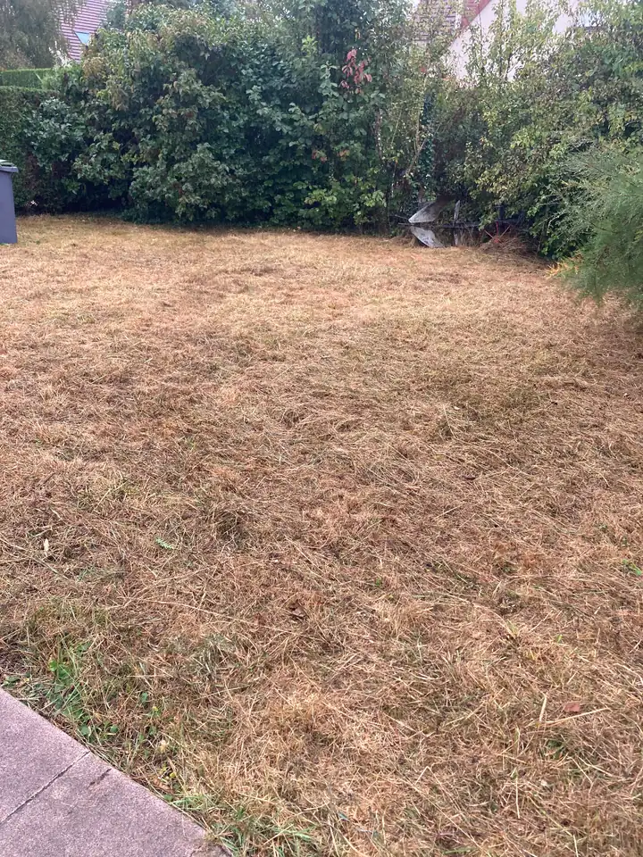 Entretien et tonte d'une pelouse de jardin à Caen